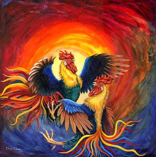Pelea-de-Gallos-HR